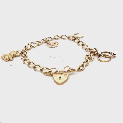9ct yellow gold charm bracelet 9.9g (sh24996l)