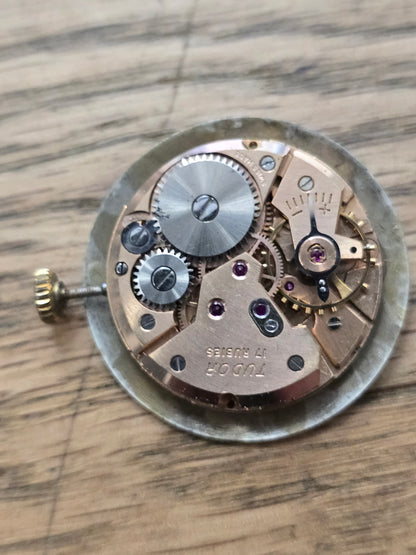 9ct yellow gold Tudor Royal watch with a round dial on a brown leather strap, displayed on a neutral background