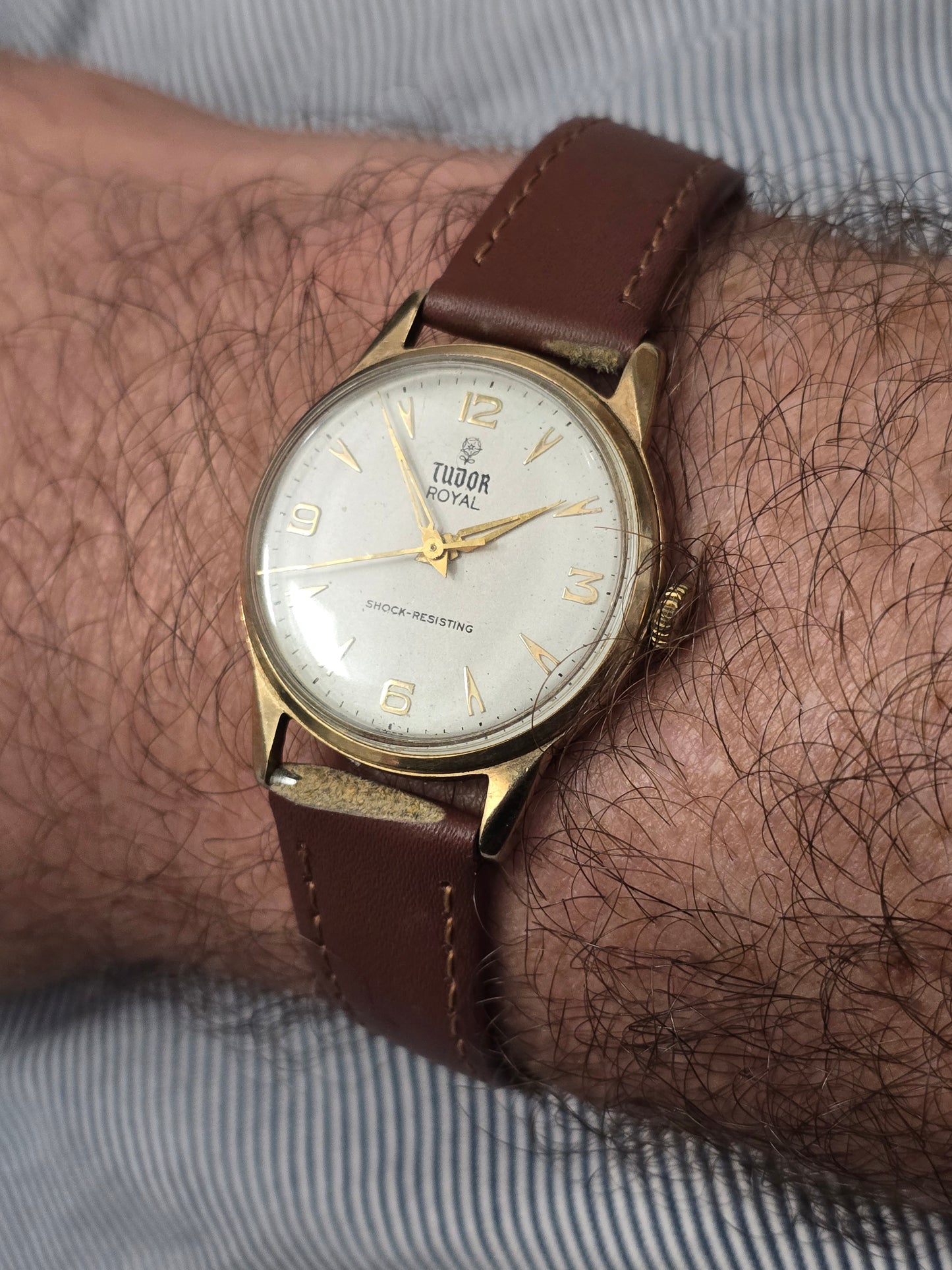 9ct yellow gold Tudor Royal watch with brown leather strap, featuring a classic round dial and elegant design.