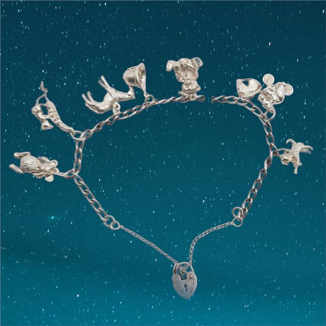 925 silver charm bracelet featuring intricate designs, weighs 27.3g, unbranded, with detailed silver charms and links.