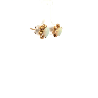 9ct yellow gold opal earrings with vibrant opal stones set in gold, showcasing elegant jewelry design.