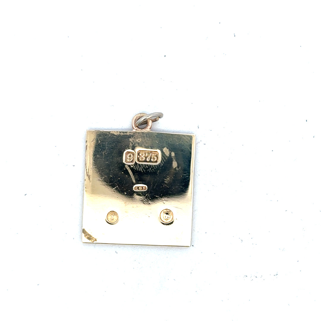 9ct yellow gold pendant weighing 9.6g, unbranded jewelry piece with a simple, elegant design, displayed on a neutral background.