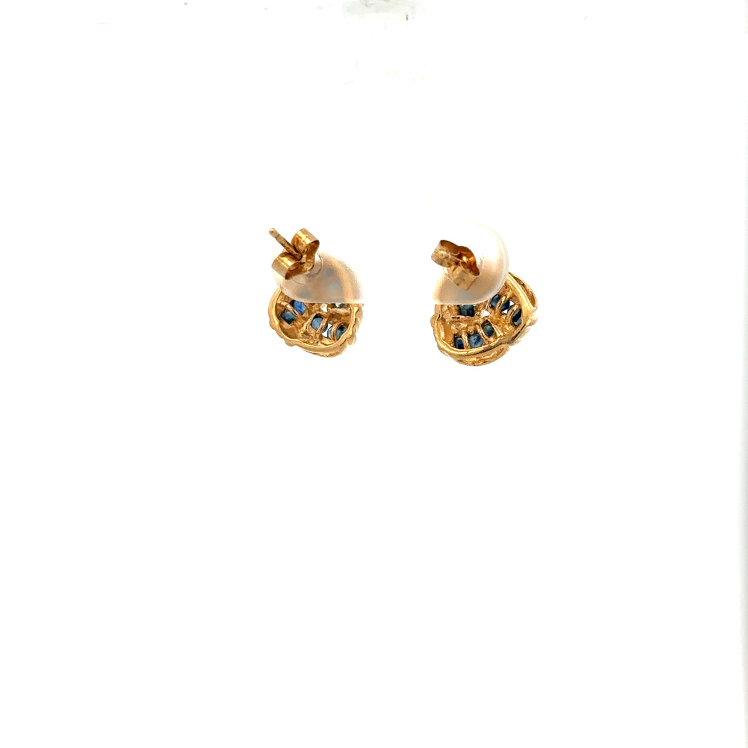 9ct yellow gold sapphire earrings showcasing vibrant blue sapphires and elegant gold setting, designed for pierced ears.