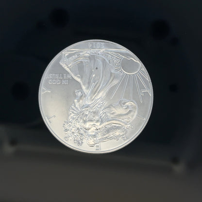 Silver one dollar coin weighing 31.2g, unbranded, featuring detailed engravings on the front and back.